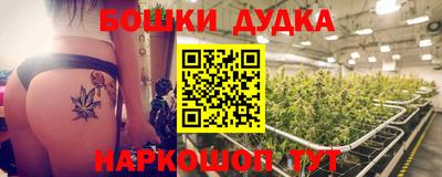 прущие крисы Партизанск